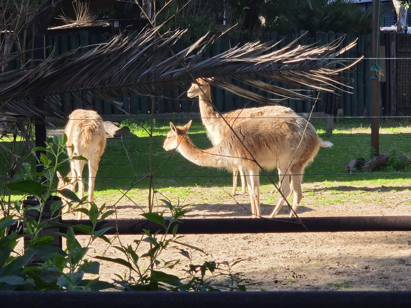 Visita al Ecoparque