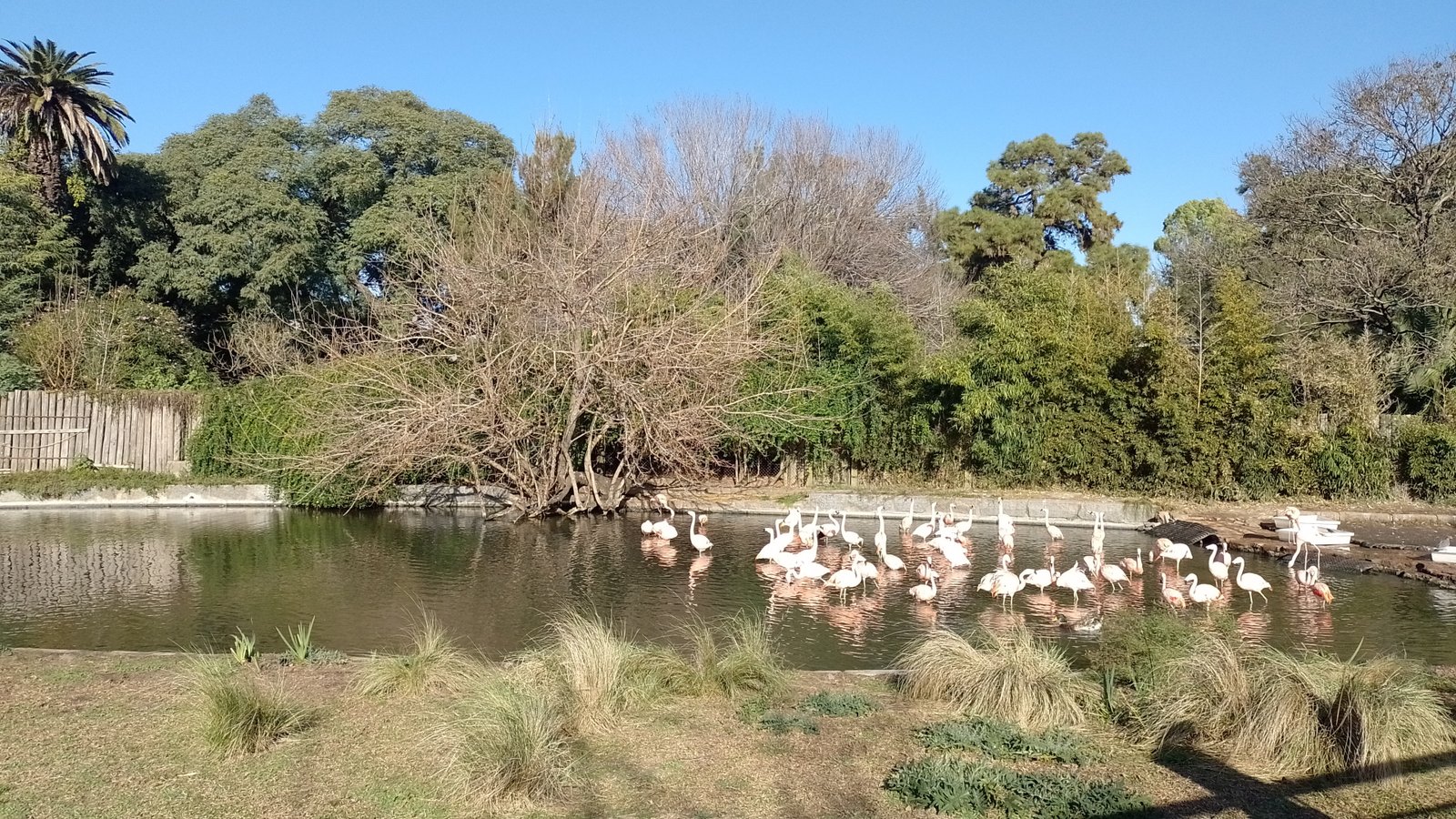 Visita al Ecoparque