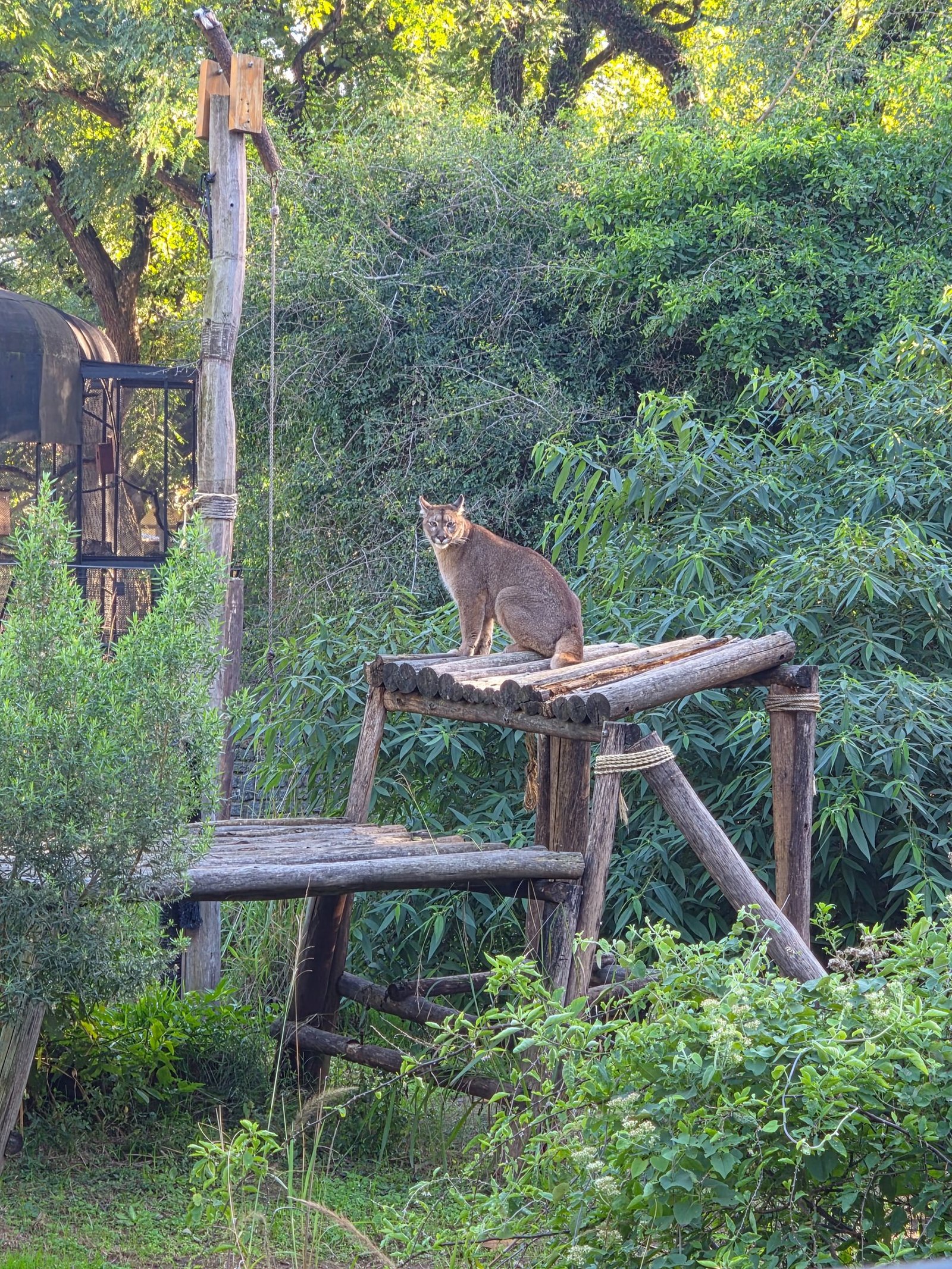 Visita al Ecoparque